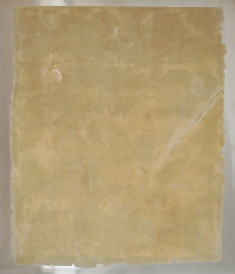 181210-Past-in-Plastic---Pelt-II,-2018,-Anwar